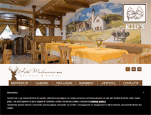 Tablet Screenshot of hotelmadonnina.com